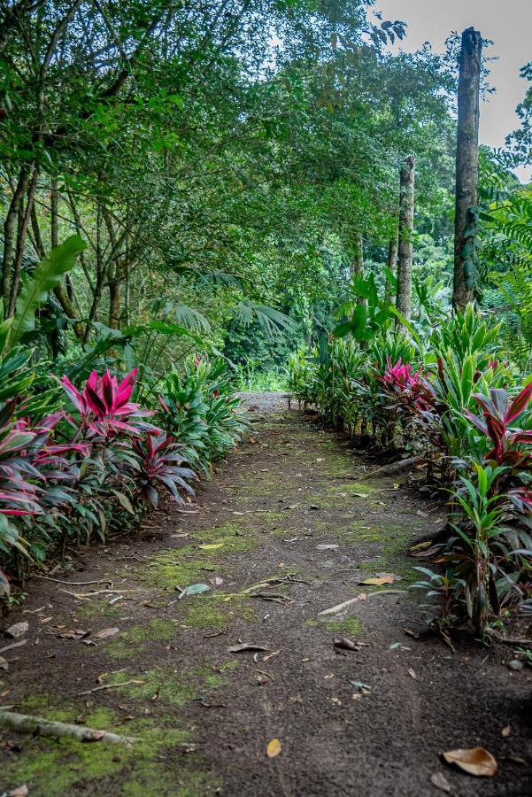 Hotel Los Rios Guacimo  Luaran gambar